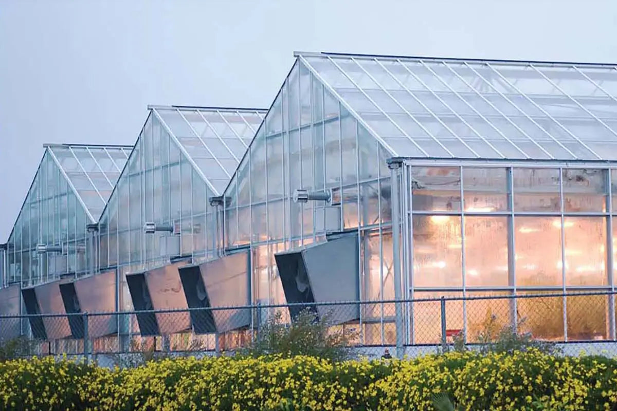 Topglass®